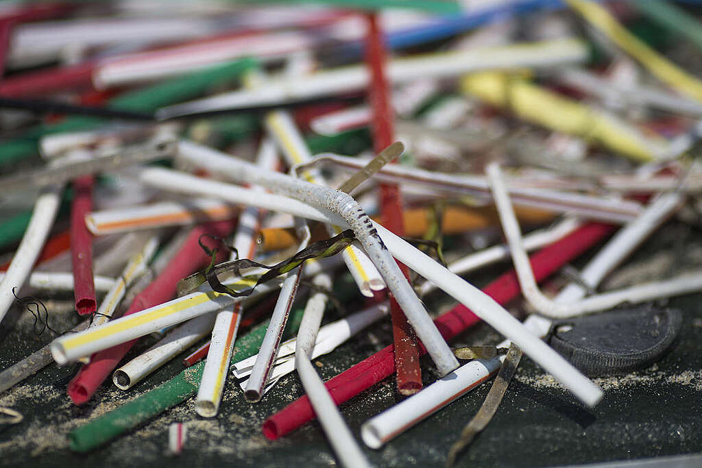 Long Beach Clean Up Plastic straws are sorted as Surfrider, Clean Long Beach and Greenpeace team up to do a beach clean up and brand audit on Juniper Beach in Long Beach, California.