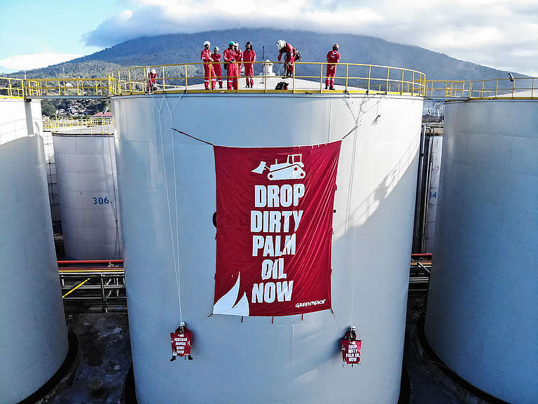 Direct Action at Wilmar Refinery in North Sulawesi. © Nugroho Adi Putera Direct Action at Wilmar Refinery in North Sulawesi. © Nugroho Adi Putera