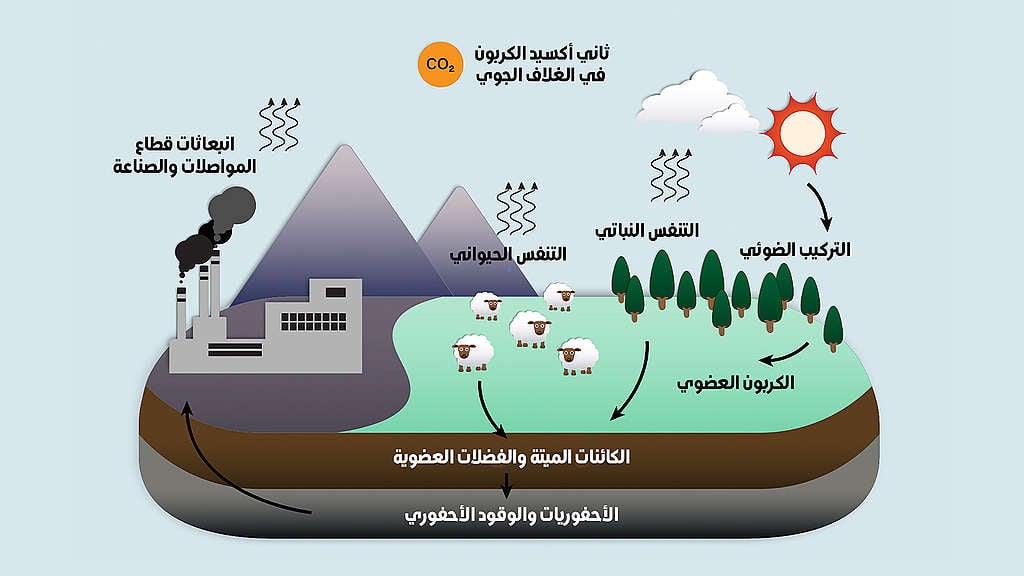 جميع الاشياء تتكون من مادة