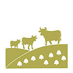 Chapter VI: Food sovereignty and environmental violations: The case of Egypt, Tunisia, and Morocco