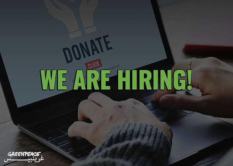 Internships Greenpeace MENA