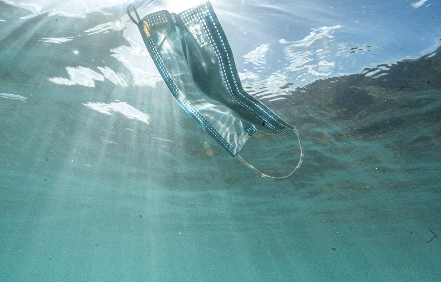 Ocean Pollution and Risks, and Supporting Greenpeace’s Work for Ocean Protection