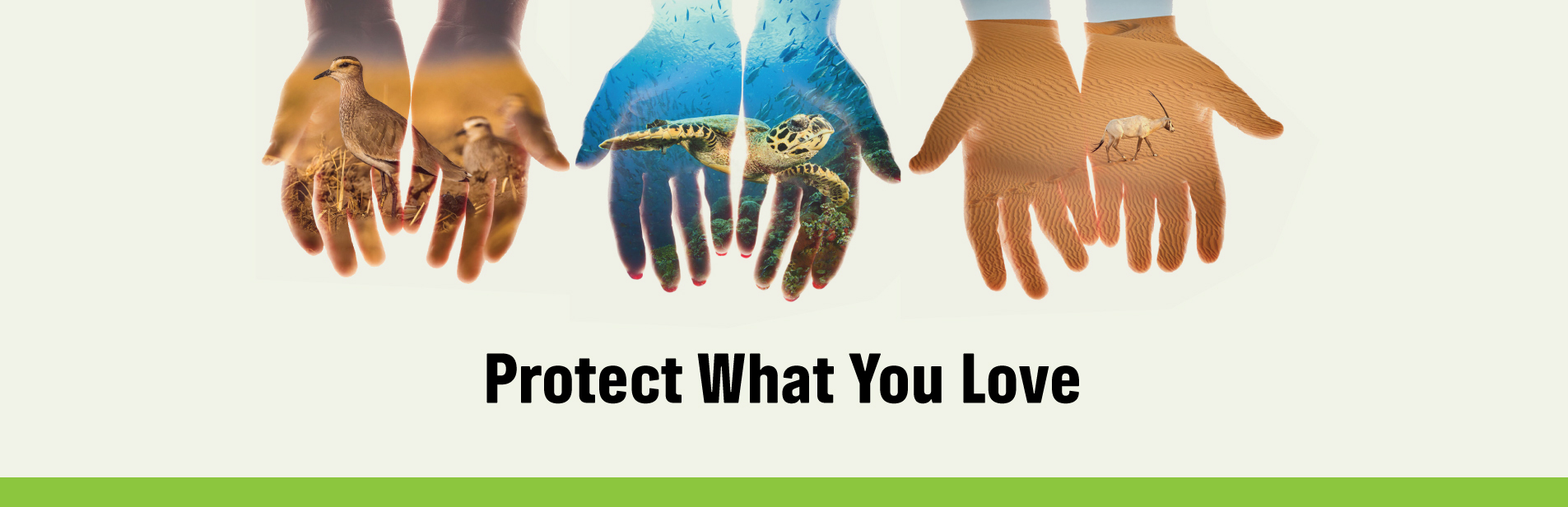 Protect what you love!