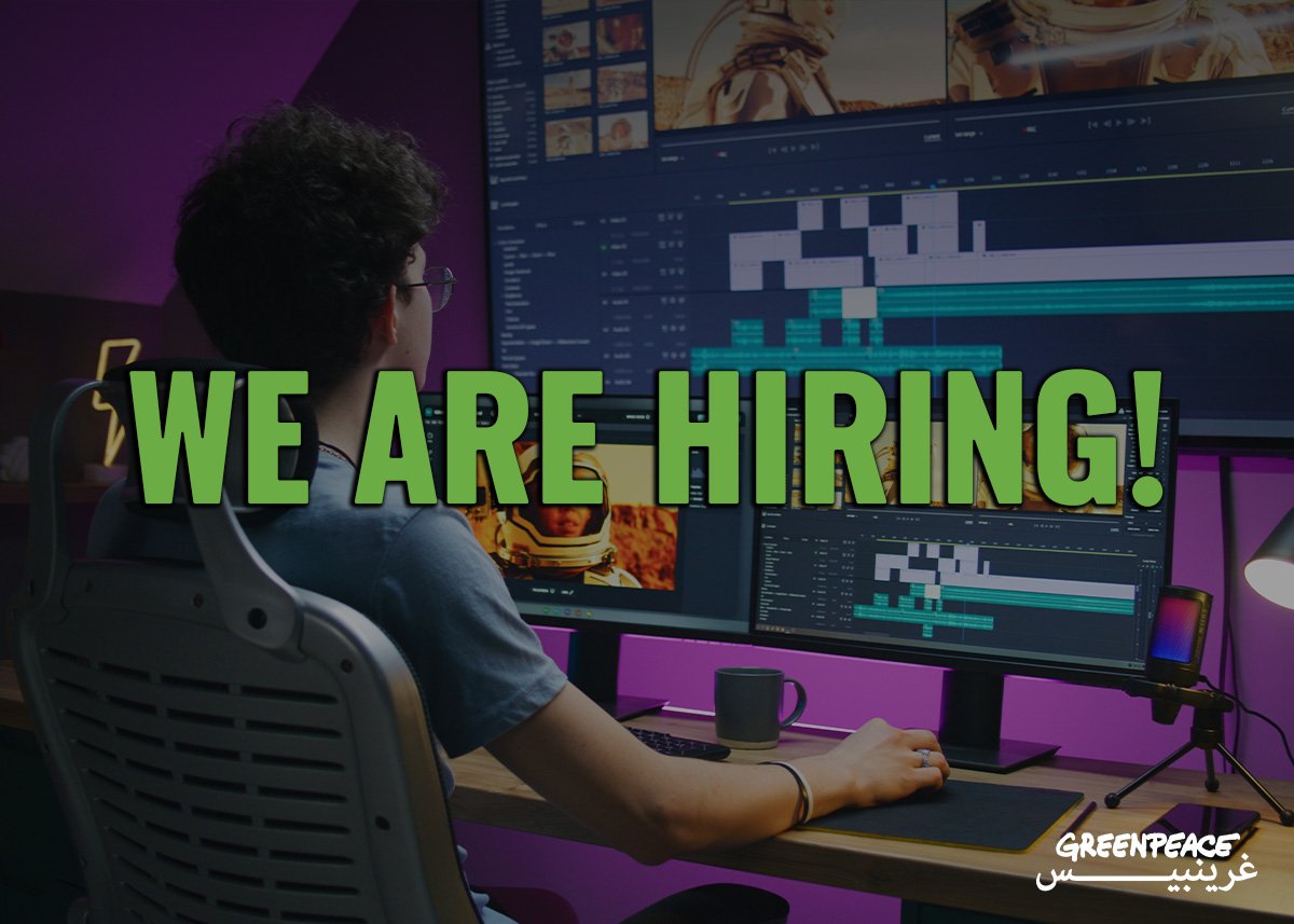 Multimedia Intern