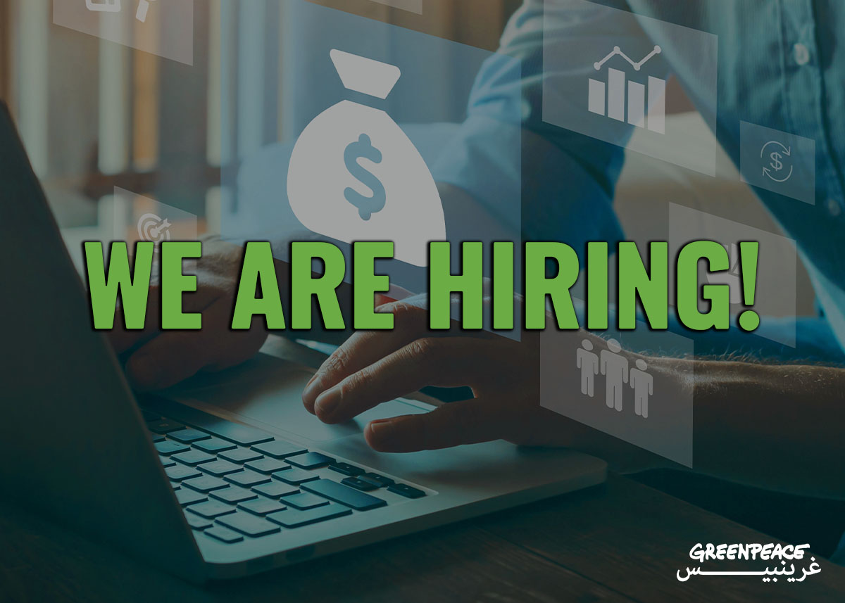Digital Fundraising Strategist