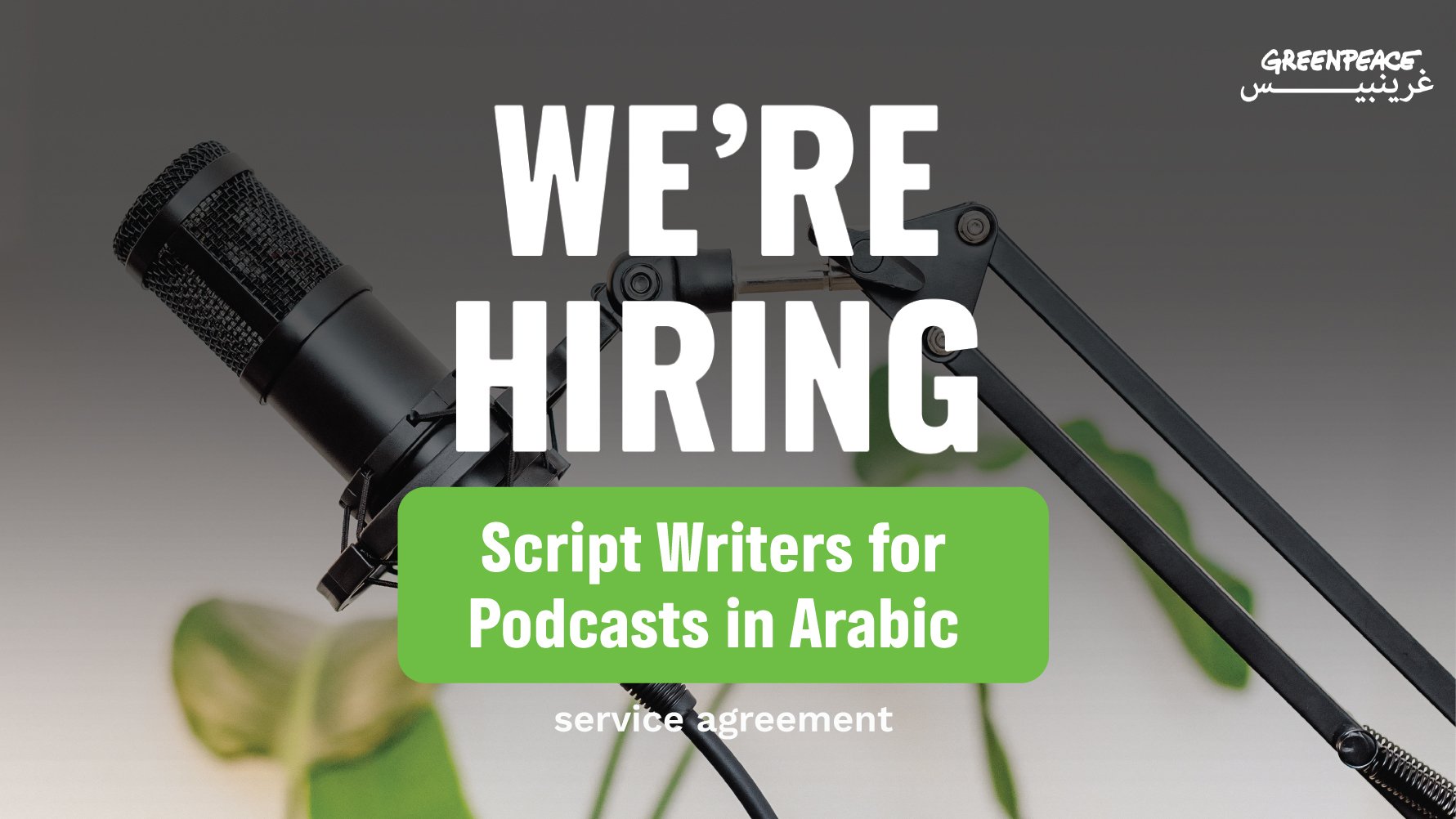 Script Writer for Podcasts in Arabic