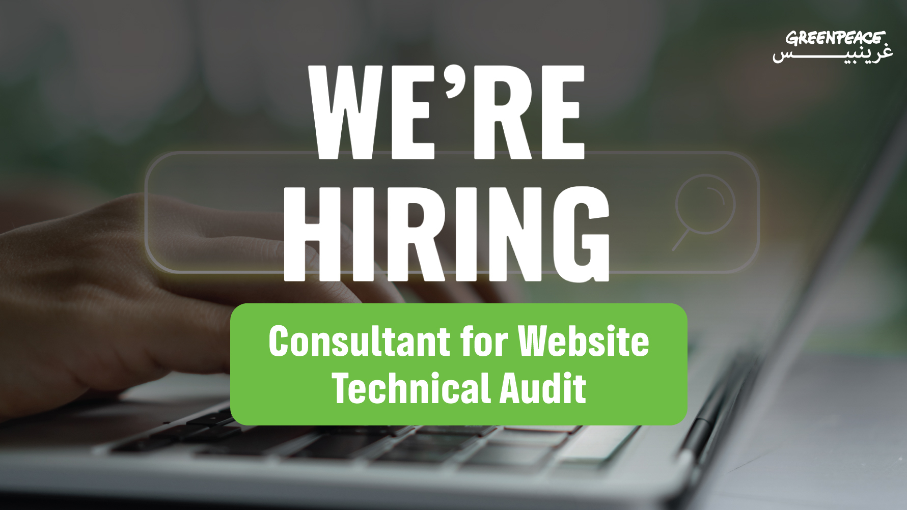  Consultant for Website Technical Audit