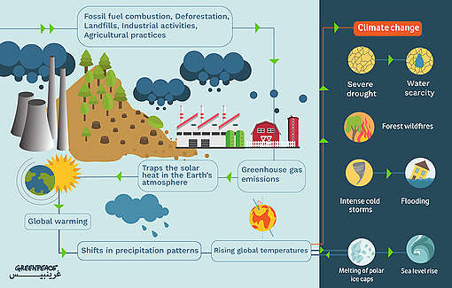What Is Climate Change? Everything You Need to Know - Greenpeace Middle ...