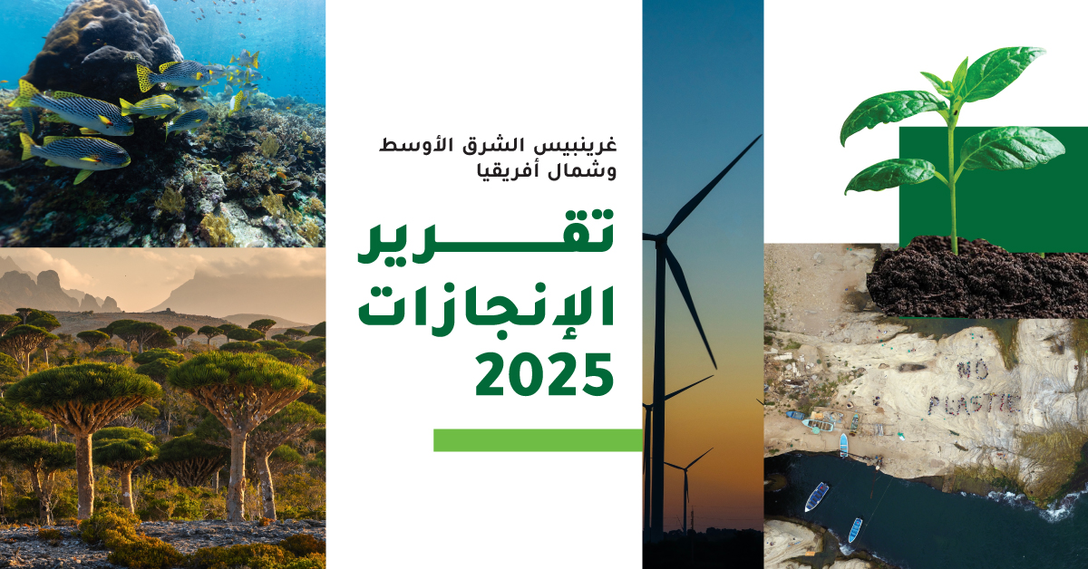 تقرير إنجازات غرينبيس الشرق الأوسط وشمال أفريقيا 2025: ما تمّ تحقيقه حتى الآن