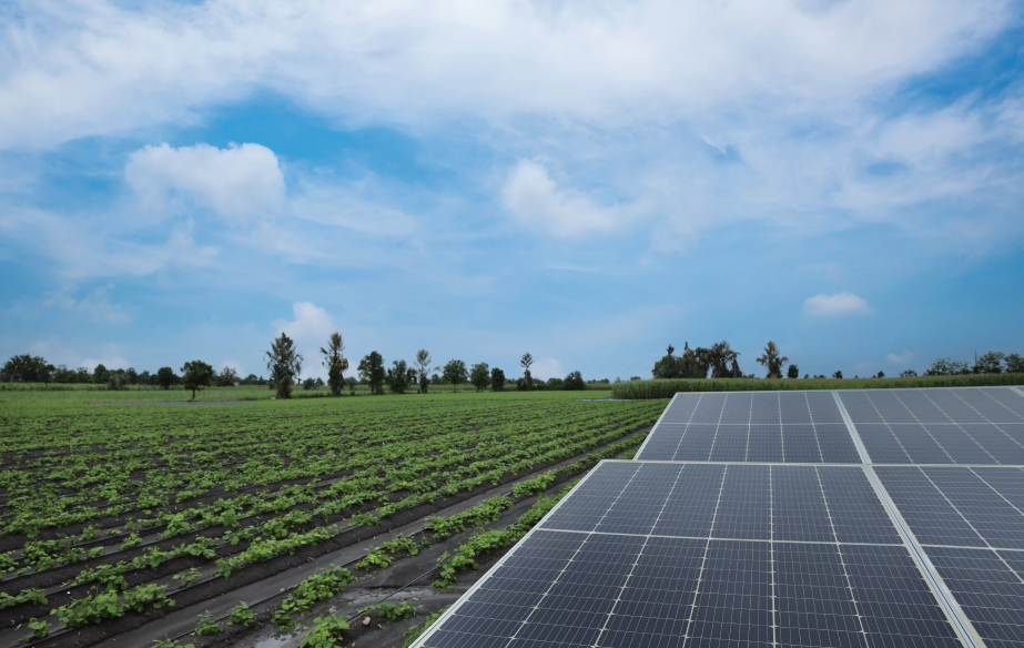 Decentralized Renewable Energy