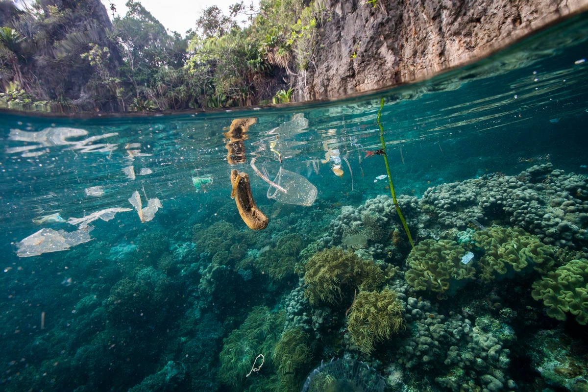 Activista de Greenpeace sostiene una botella de plástico encontrada en el Área Natural Protegida de Sian Ka'an, en la Riviera Maya en México. Plastic Pollution in the Sea, Raja Ampat, Papua, Indonesia. © Paul Hilton / Greenpeace