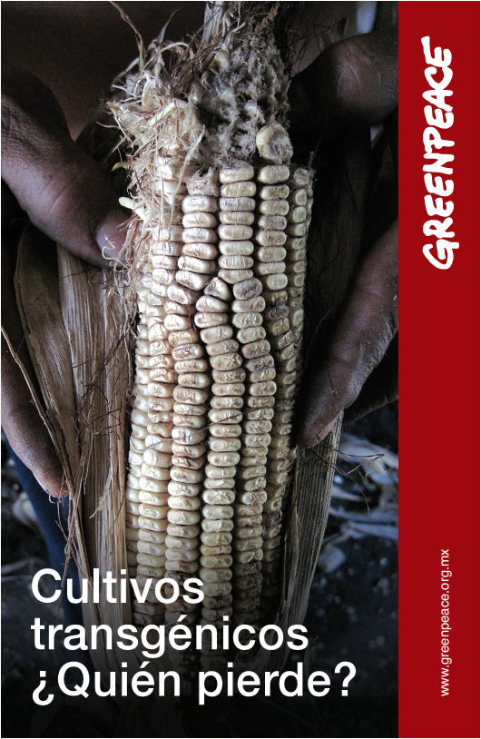 Portada del informe "Cultivos transg&eacute;nicos; &iquest;Qui&eacute;n pierde?! de Greenpeace M&eacute;xico.