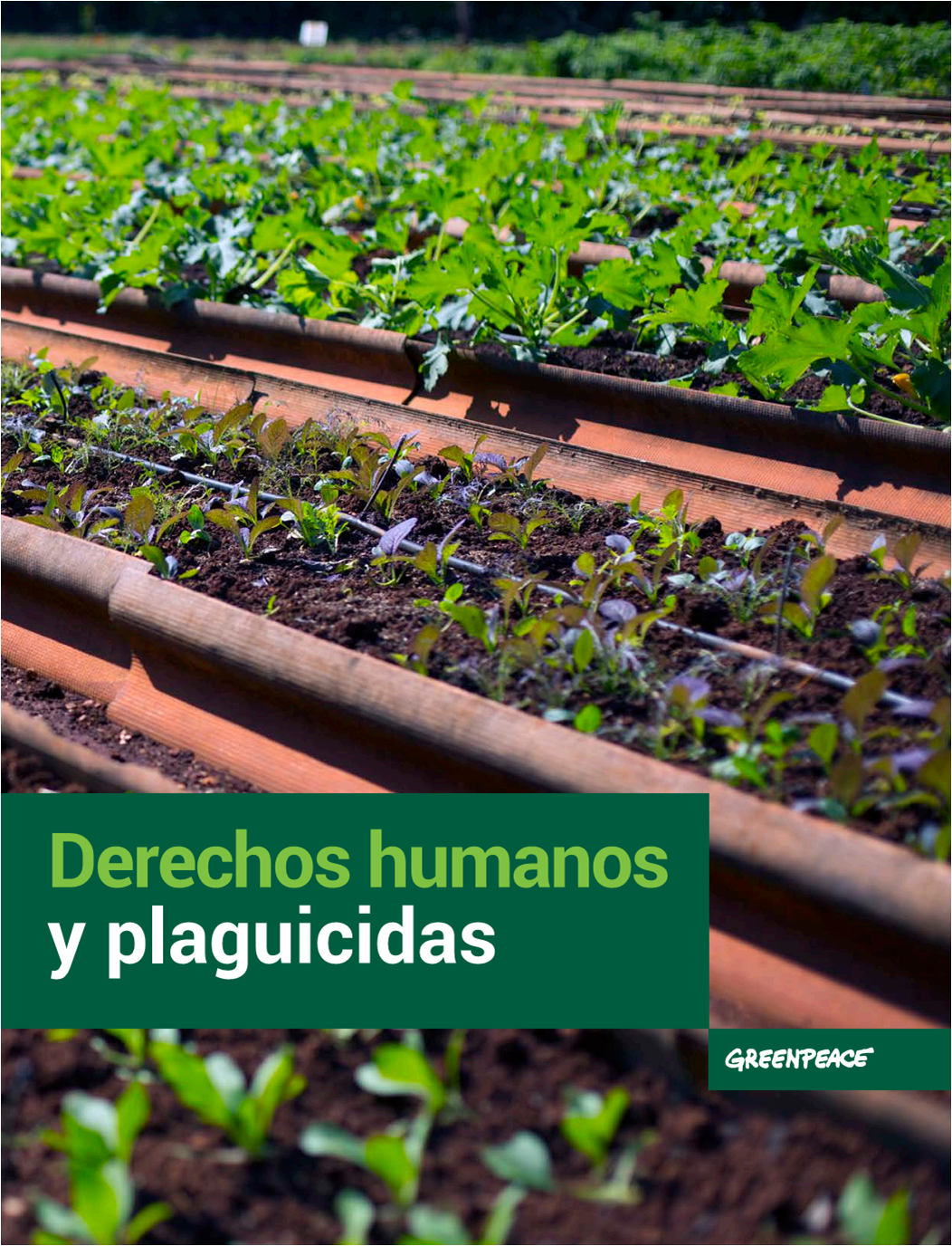 Portada_reporte_DH y plaguicidas