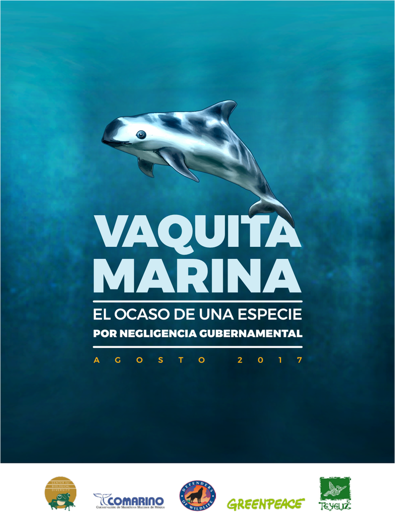 portada_vaquita el ocaso de una especie