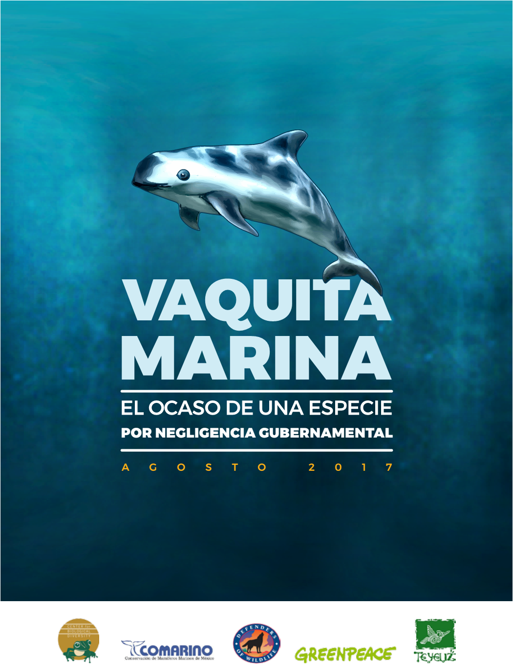 portada_vaquita el ocaso de una especie