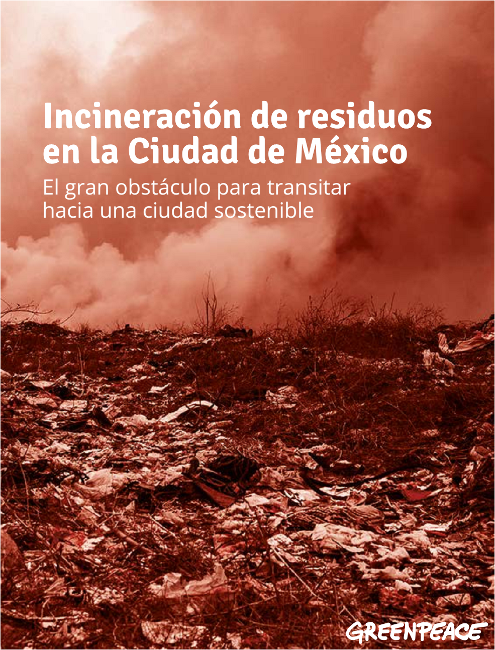 Reporte Incineraci&oacute;n de residuos en la Ciudad de M&eacute;xico