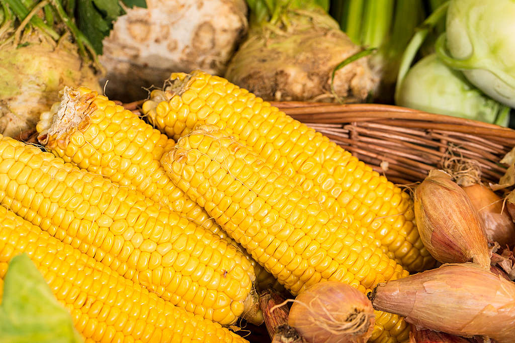 Vegetables in Germany. © Axel Kirchhof