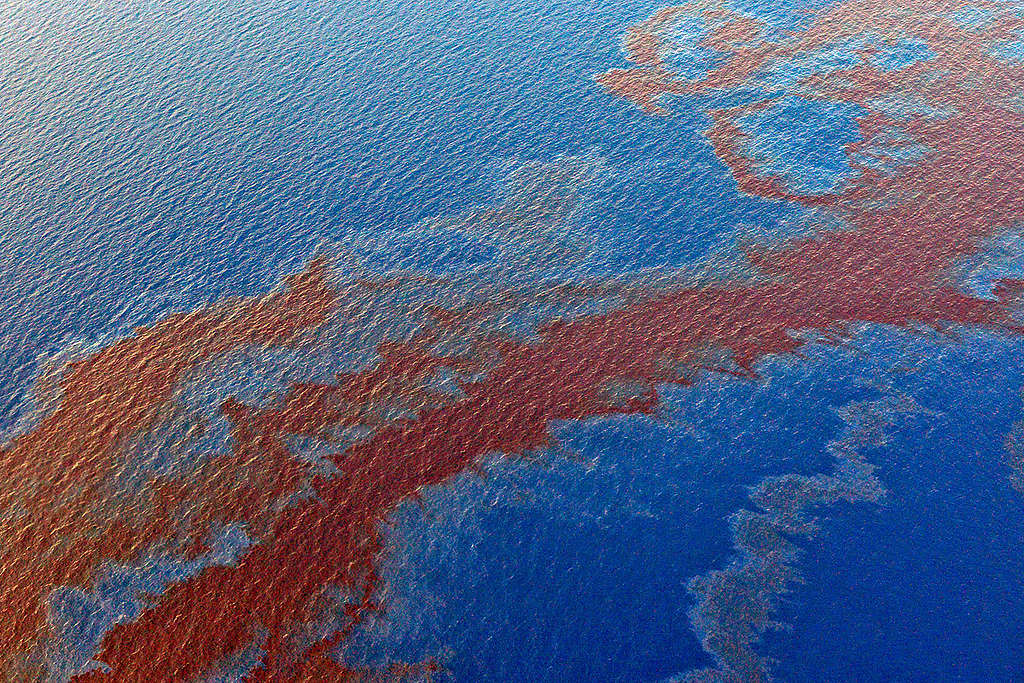 Shell Oil Spill in the Gulf of Mexico. © Derick Hingle Shell Oil Spill in the Gulf of Mexico. © Derick Hingle
