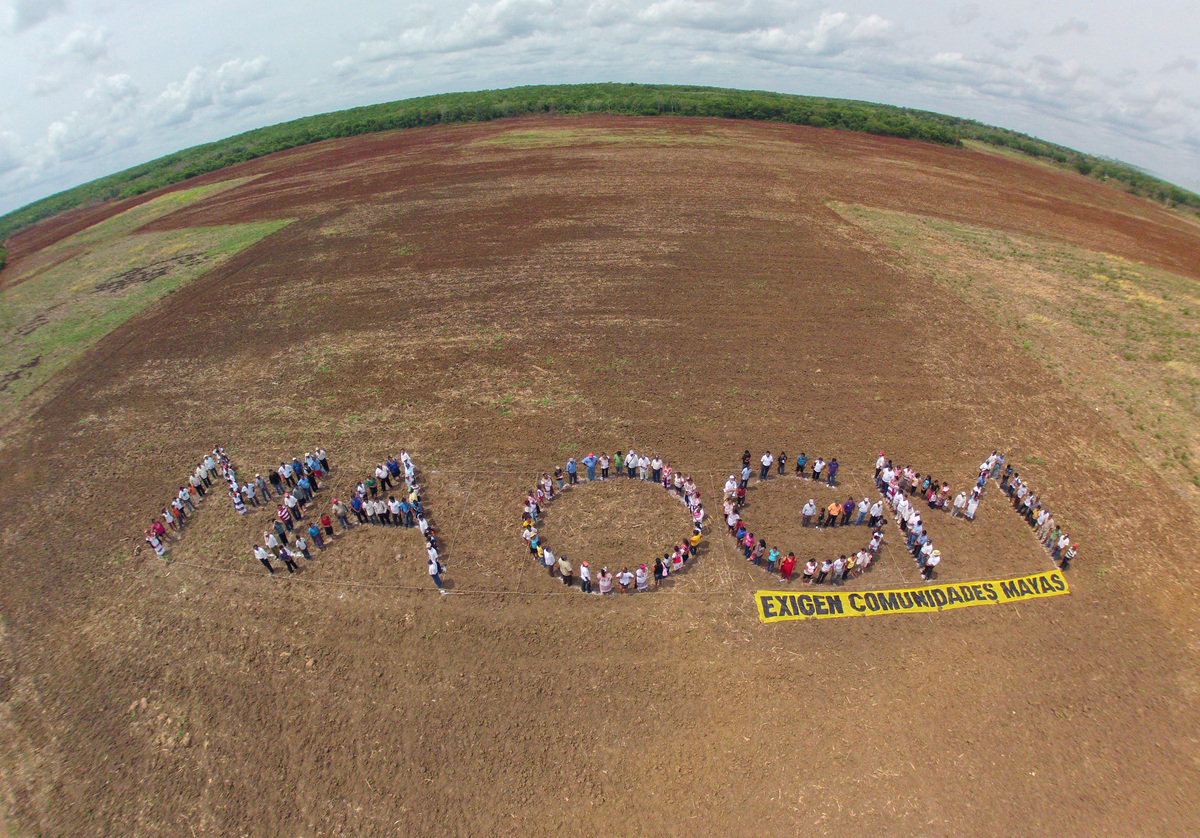 Comunidades mayas dicen NO a los OGM © Arturo Rocha