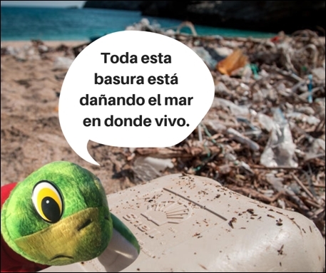 Fotograf&iacute;a de un peluche de tortuga en la playa

