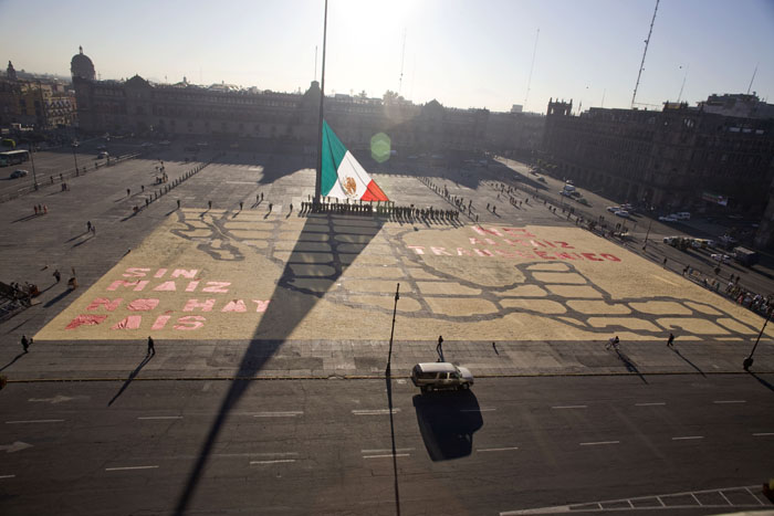 Activistas de diversas organizaciones ambientales, sociales y campesinas elaboraron un mapa de MŽxico de 4500 metros cuadrados con 35 toneladas de ma’z nativo blanco para exigir al gobierno federal la protecci—n del ma’z mexicano contra los trangŽnicos.26/02/2009.Foto Gustavo Graf