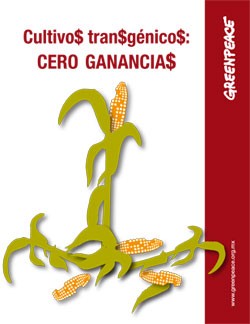 Portada del informe de Greenpeace "Cultivos transgénicos, CERO GANANCIAS" sobre los impactos económicos de los cultivos transgénicos, destacando la falta de ganancias y los costos adicionales.