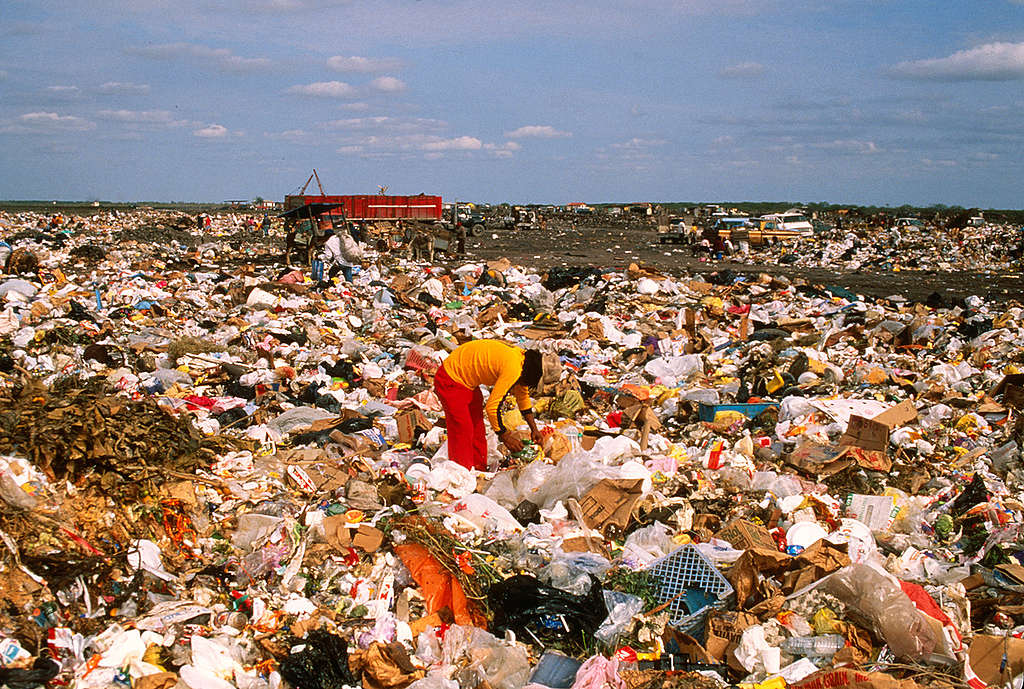 Scavengers on Matamoros dump, Mexico. © Robert Visser Contaminación plástica en México. © Robert Visser