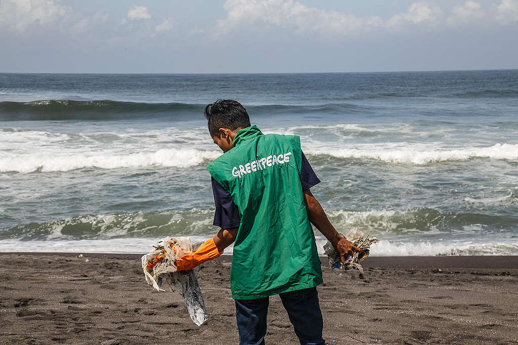 Voluntarios de Greenpeace haciendo limpieza de playa © Boy T Harjanto / Greenpeace