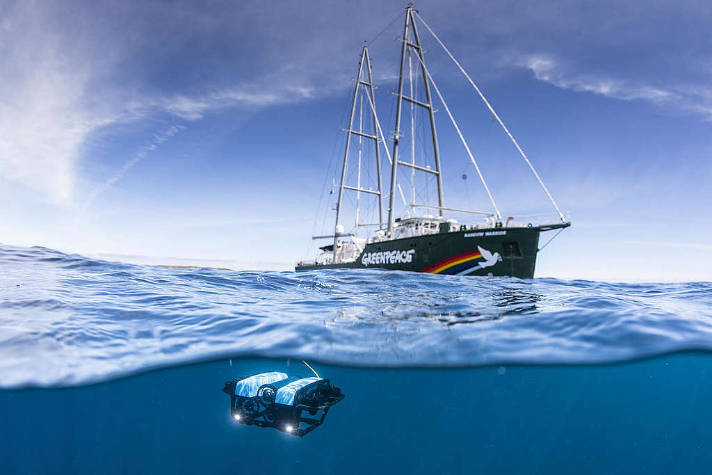 Rainbow Warrior © Richard Robinson / Greenpeace