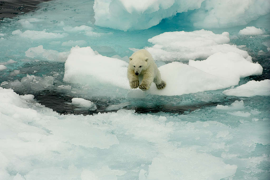 10 imágenes que nos muestran los efectos del cambio climático - Greenpeace  México