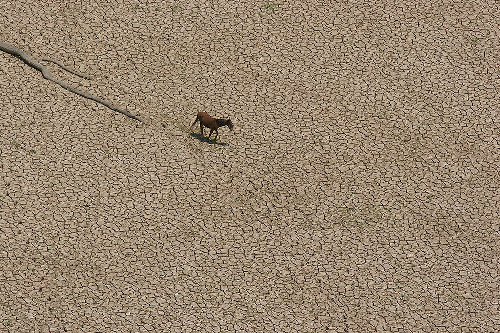 Sequías y cambio climático