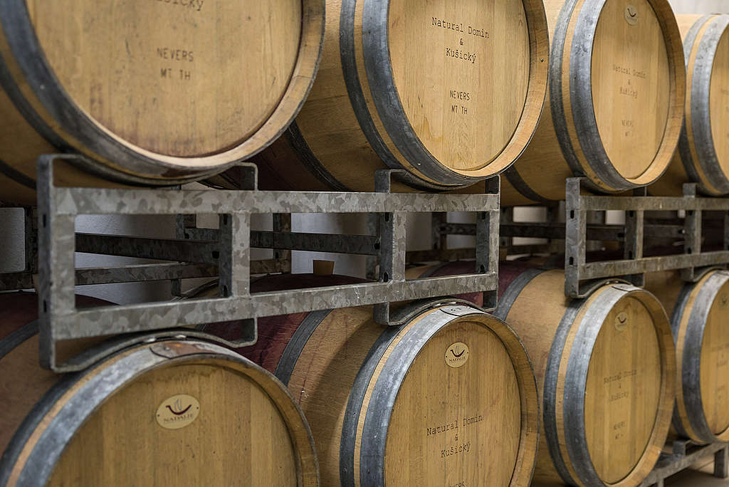Bodegas de vino en Europa © Richard Lutzbauer / Greenpeace