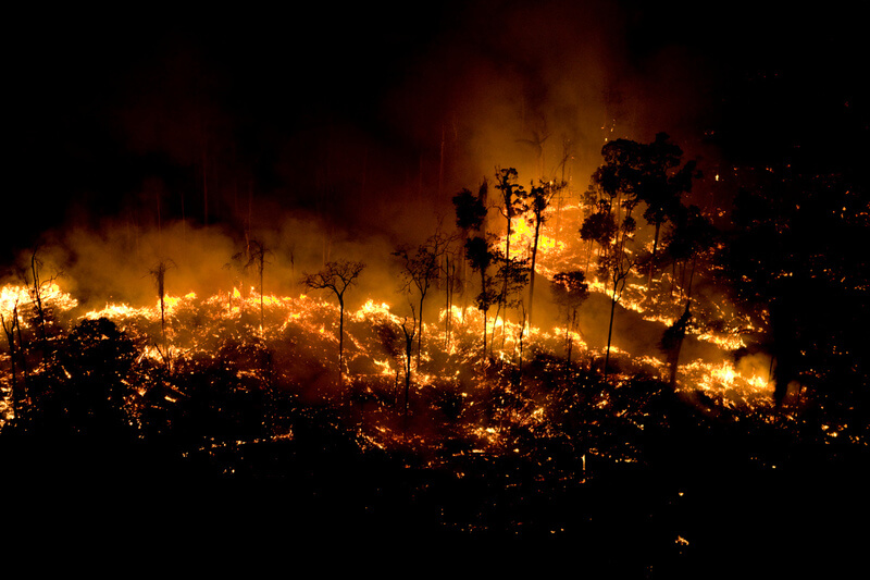 Incendios en el Amazonas