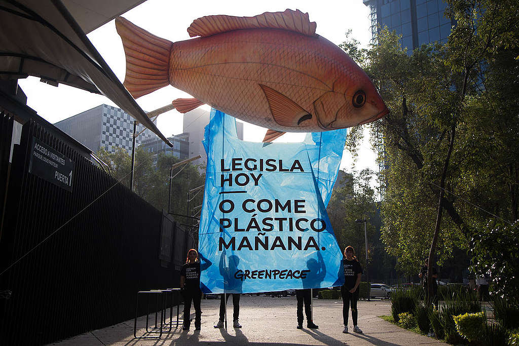 Plastic Banquet at the Senate of the Republic in Mexico. © Ilse Huesca Vargas / Greenpeace