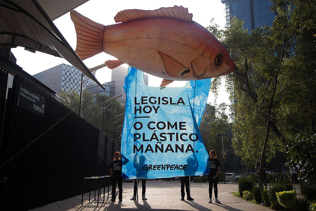Plastic Banquet at the Senate of the Republic in Mexico. © Ilse Huesca Vargas / Greenpeace Plastic Banquet at the Senate of the Republic in Mexico. © Ilse Huesca Vargas / Greenpeace