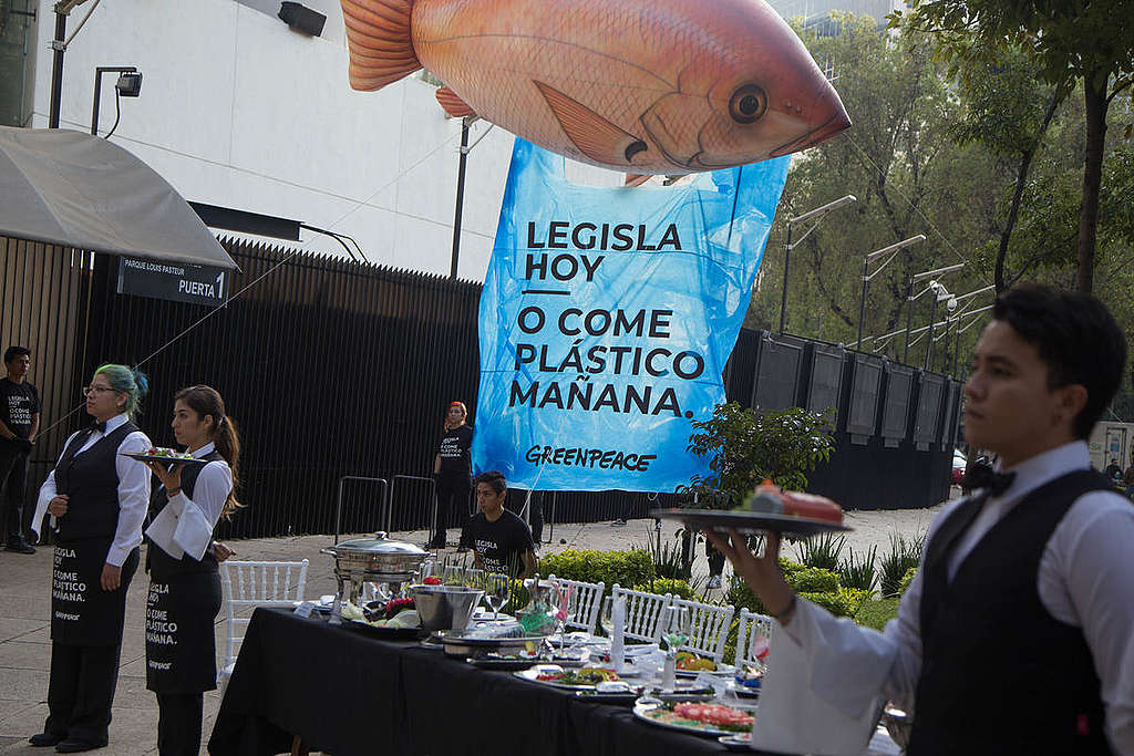 Plastic Banquet at the Senate of the Republic in Mexico. © Ilse Huesca Vargas / Greenpeace