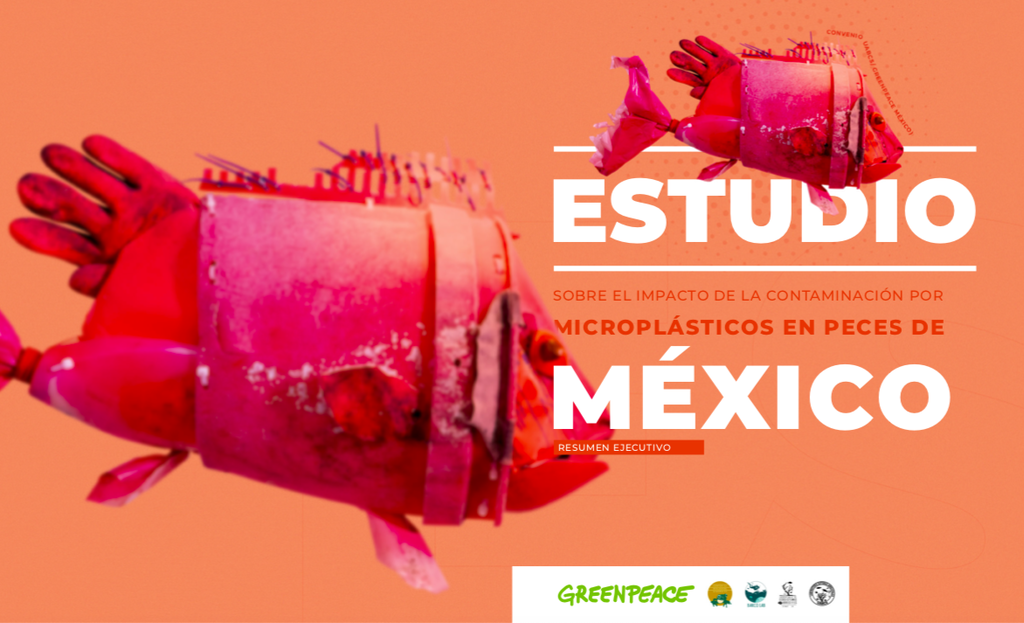 Estudio sobre el impacto de la contaminación por microplásticos en peces de México