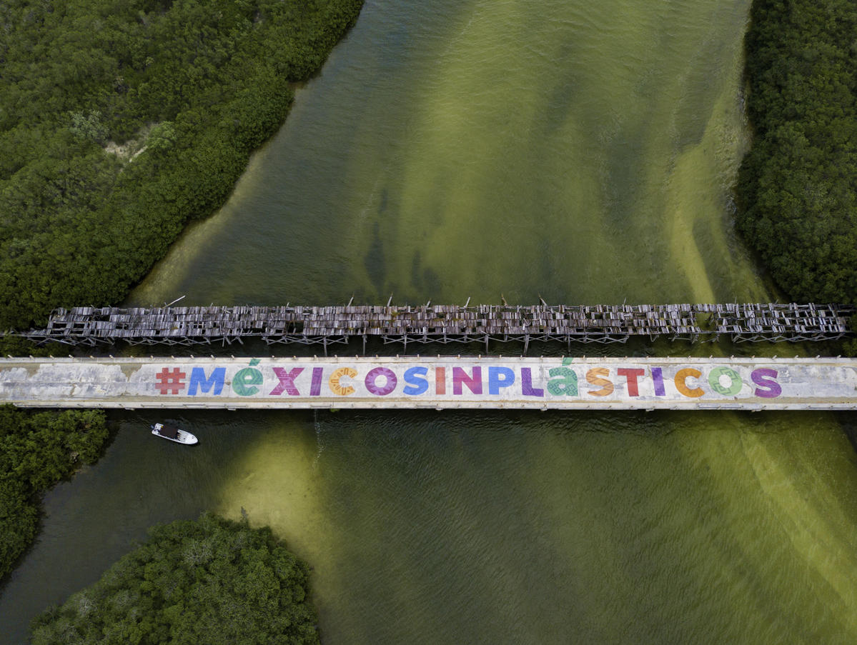 . © Greenpeace / Mario Dib
