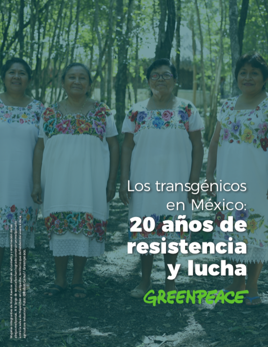 Transgénicos en México: 20 años de resistencia y lucha