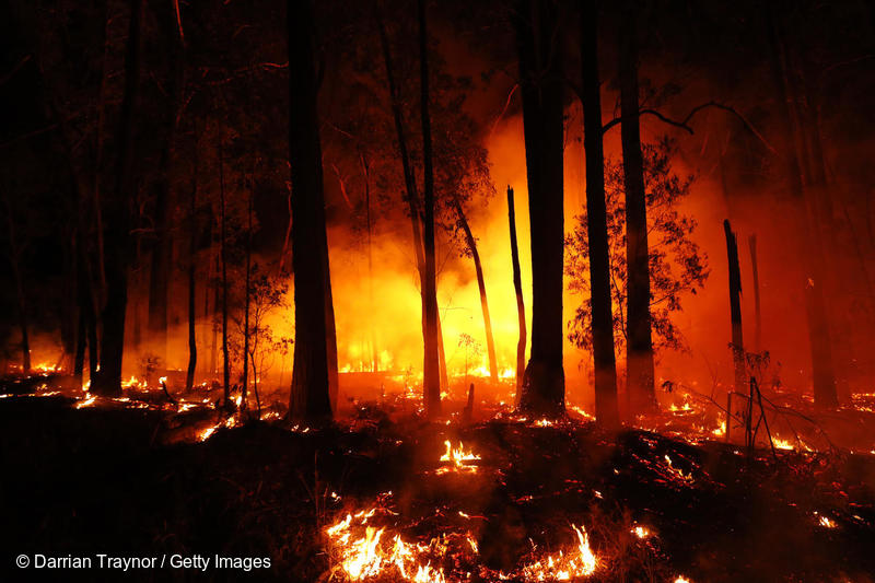 Incendios forestales en diversas partes del mundo