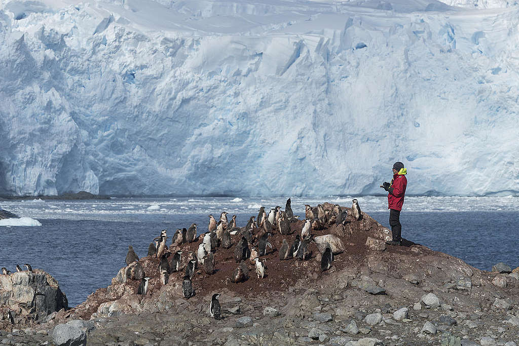 Steven Forrest On  Anvers Island. © Christian Åslund / Greenpeace