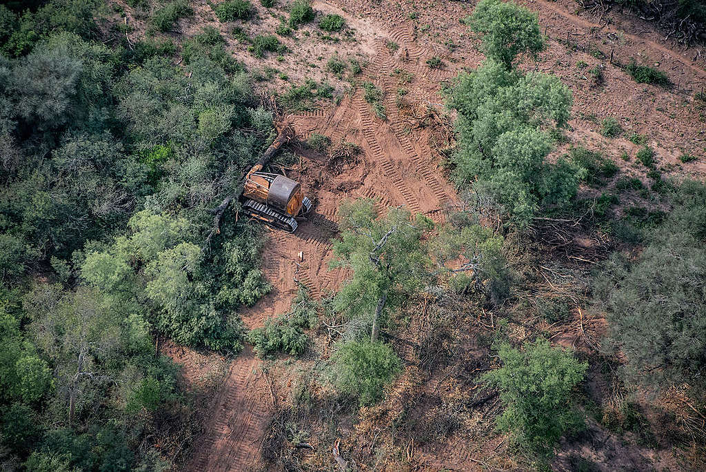 Deforestación en el mundo