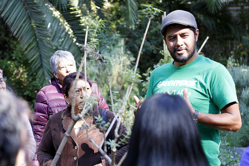 Jan, voluntario de Greenpeace