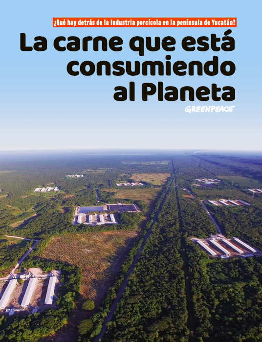 La carne que está consumiendo al Planeta