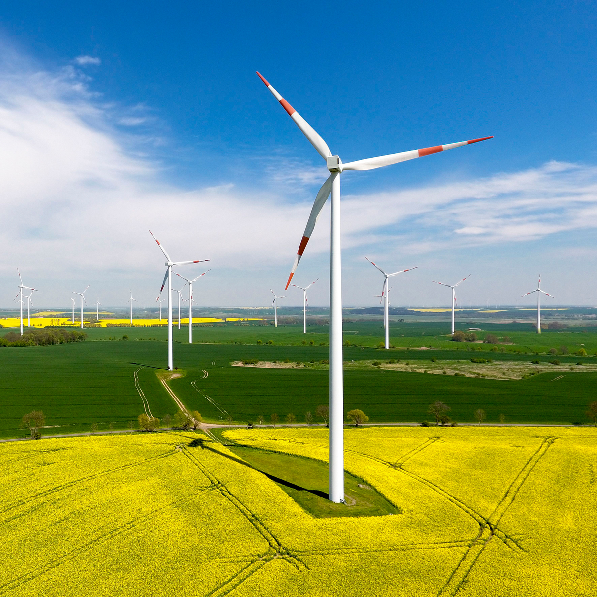 Energía eólica. ¡México puede ser renovable!