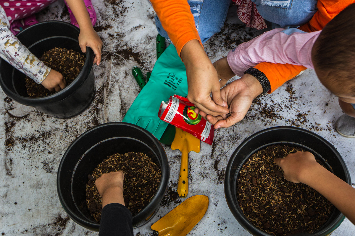 Huertos Urbanos, una opción en las ciudades