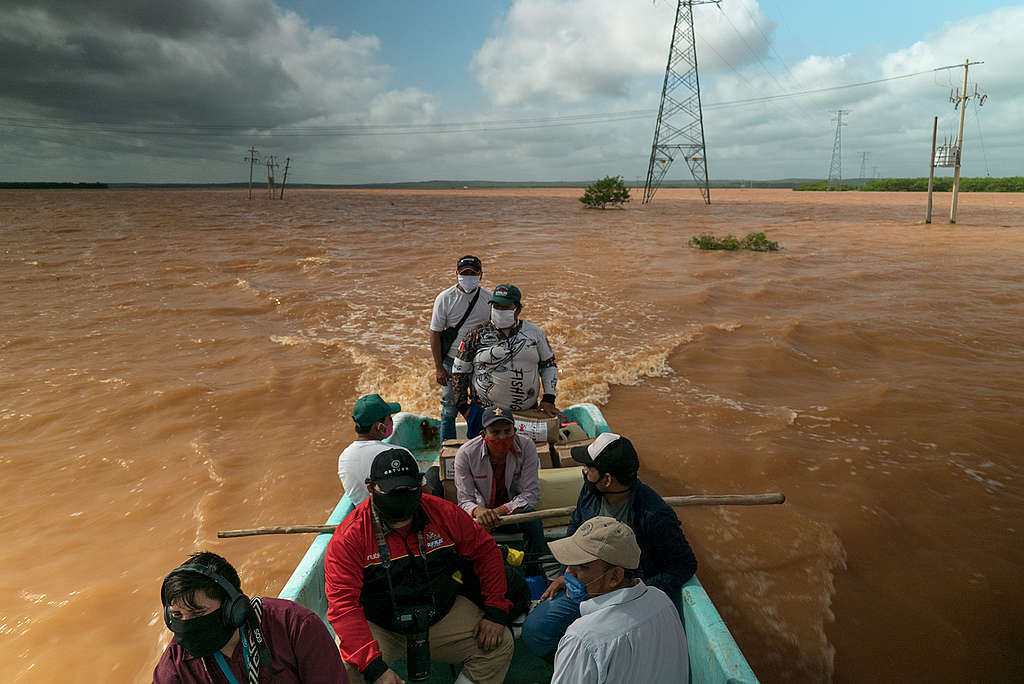 Afectaciones en la Península de Yucatán por tormenta tropical Cristobal / © Greenpeace/ Robin Canul Afectaciones en la Península de Yucatán por tormenta tropical Cristobal / © Greenpeace/ Robin Canul