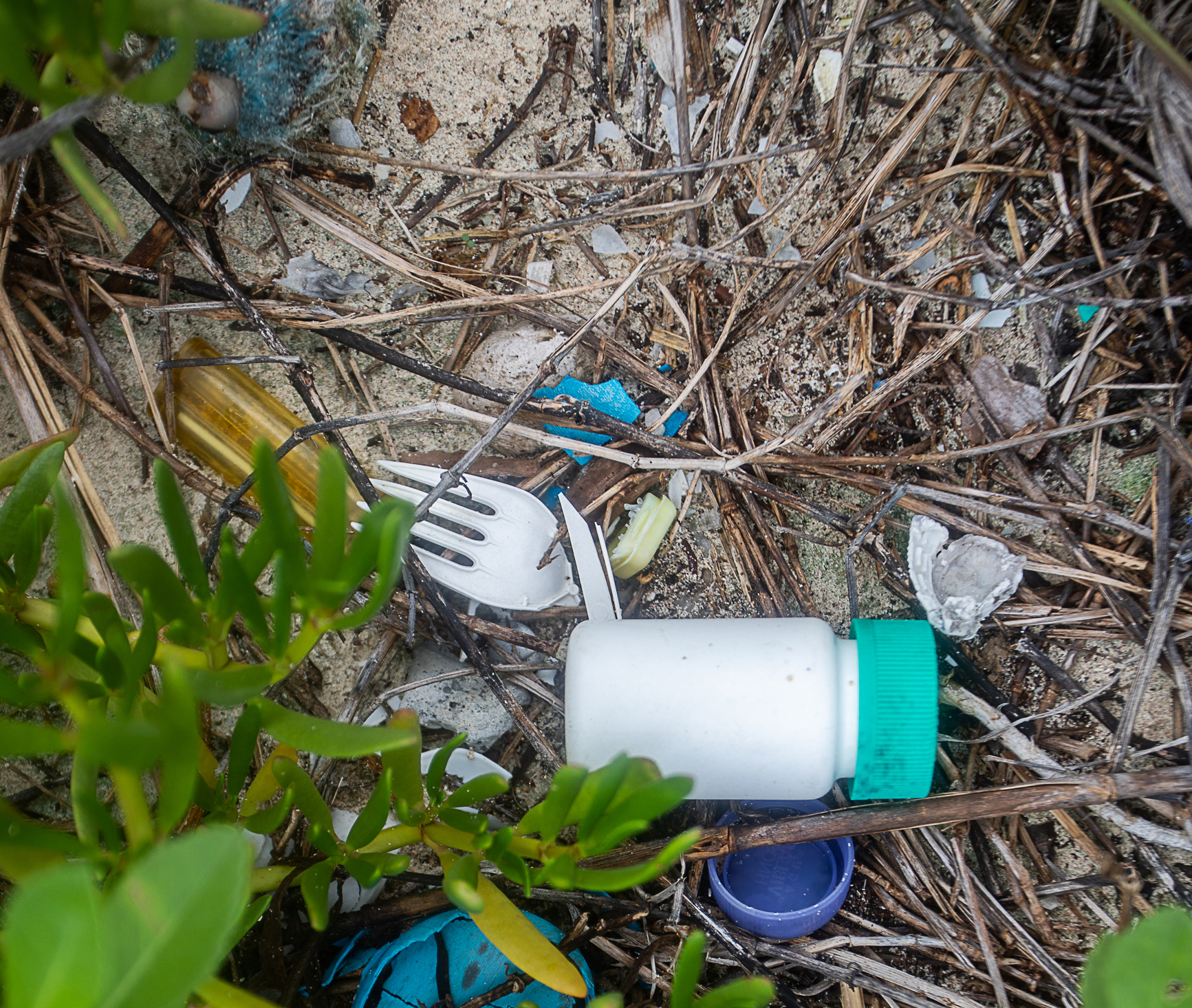 Impacto de la contaminación por plástico en las áreas naturales protegidas en México