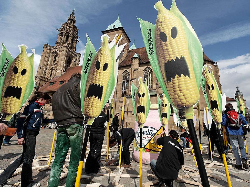 Greenpeace y la defensa del maíz contra Monsanto