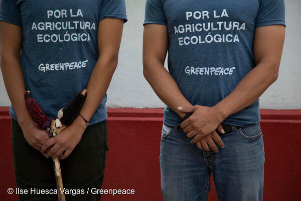 Dos activistas de Greenpeace M&eacute;xico usando playeras que dicen "Por la soberan&iacute;a alimentaria" en acci&oacute;n por la Protecci&oacute;n de las Especies Nativas de Ma&iacute;z en M&eacute;xico.